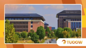 The Impact of Falling International Student Numbers on British Universities